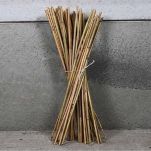 Bamboo Sticks, Garden style, durable, eco-friendly