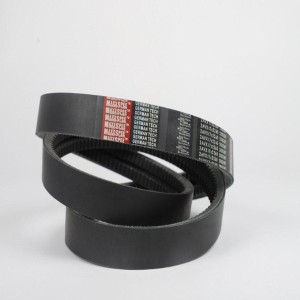 Banded Black Belts