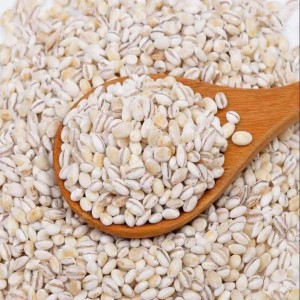 Barley Grain Seed