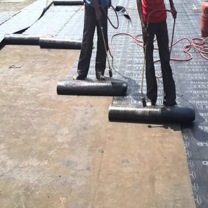 Bituminous Waterproofing Service