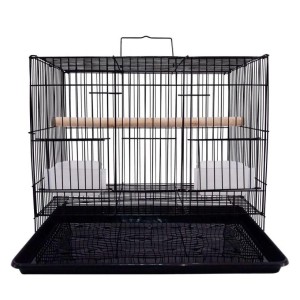 Black Bird Cage