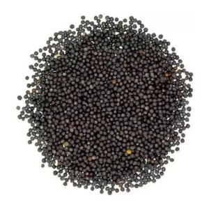 Black Mustard Seeds