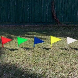 Boundary Durable Flags