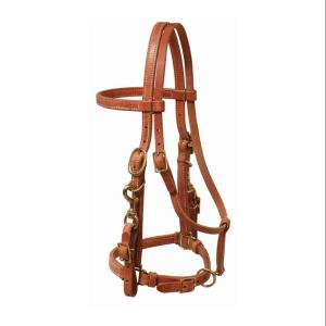 Bridle Leather Horse 