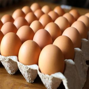 brown eggs
