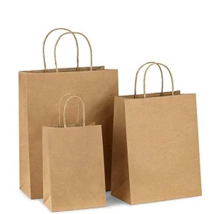 Brown Paper Carry Bag