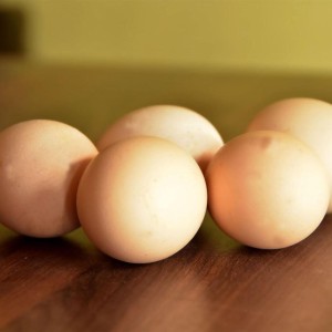 Brown Table Eggs