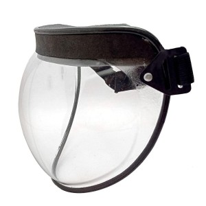 Bubble Face Shield
