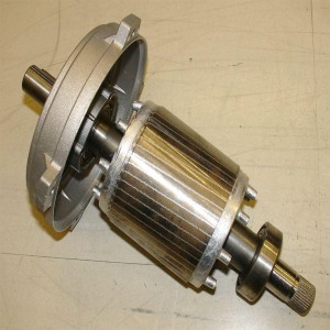 Cage Motors Rewinding