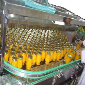 Canned Vegetable Processing Line
