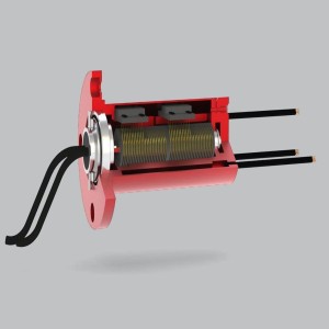 Capsule Slip Ring