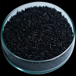 Carbon Molecular Sieves