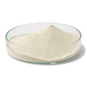 Casein Peptone Powder