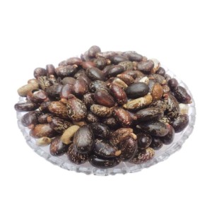 Castor Herbal Seeds