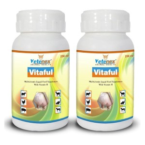 Cattle Multivitamin Liquid