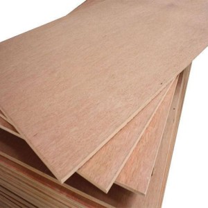 Centuryply Architect Plywood