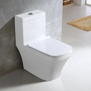 Ceramic Closets Toilet