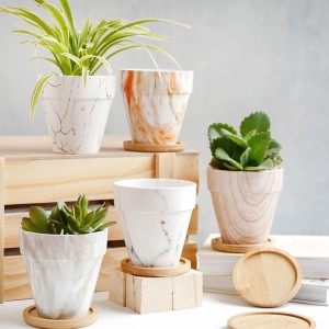 Ceramic Flower Pots
