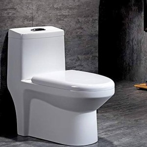 Ceramic One Piece Toilet