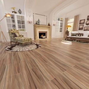 Ceramic Tiles Wooden Finish