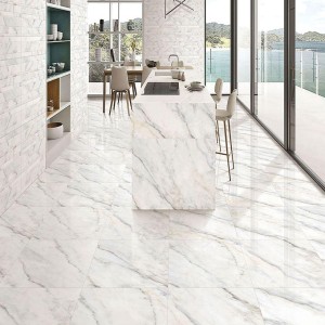 Polished Ceramic Tiles