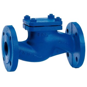 Check Cast Lift Valve
