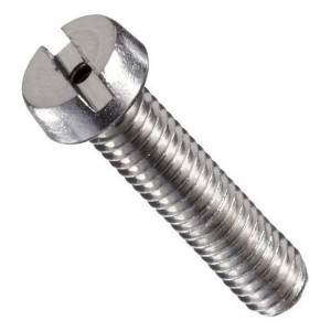 Cheese Head Screw