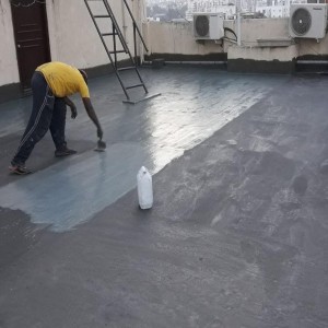 Chemical Waterproofing Services