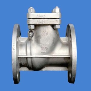 CI Stainless Steel Swing Nrv, Manual valve operation