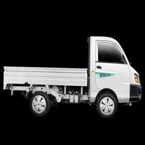 Cng Mini Truck