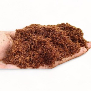 Coco Peat Loose, Safe & nontoxic soil material