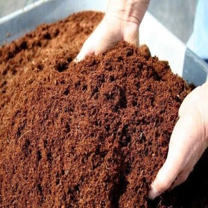 Coco Peat Potting Soil, Hold large quantities water