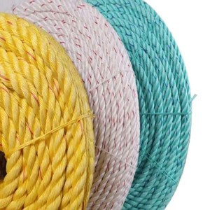 Colorful Danline Rope