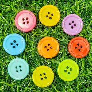 Colorful Plastic Button