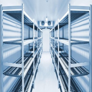 Commercial Cold Storage Room