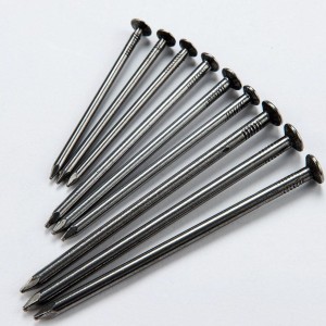 Common Wire Nail