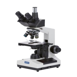 Compound Trinocular Microscope