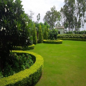 Contractors Landscaping Corporate 