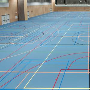 Court Sport Flooring