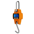 Crane Weighing Machine