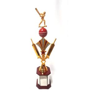 Cricket Copper Trophies