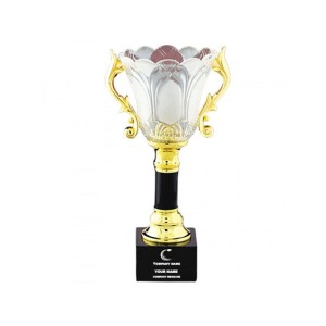Crystal Award Cups