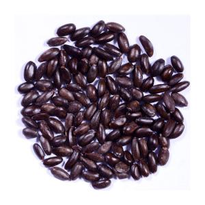 Custard Apple Fruit Seeds