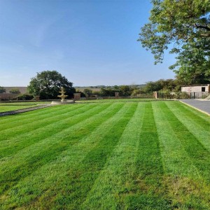 Cutting Grass Service