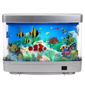 Decorative Fish Aquarium
