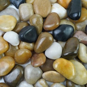 Decorative Polished Pebbles