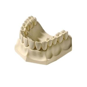 Dental Model Gypsum