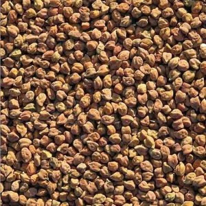 Desi Kala Chana