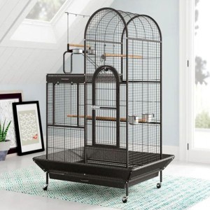 Designer Bird Cage