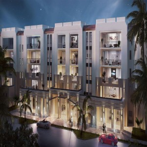 Developer Real Estate Services